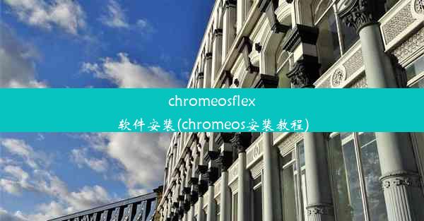 chromeosflex软件安装(chromeos安装教程)