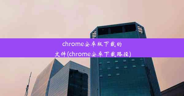 chrome安卓版下载的文件(chrome安卓下载路径)