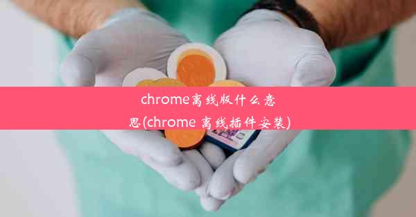 chrome离线版什么意思(chrome 离线插件安装)