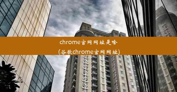 chrome官网网址是啥(谷歌chrome官网网址)