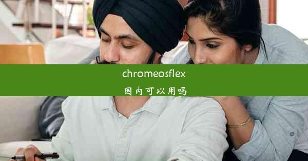 chromeosflex国内可以用吗