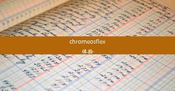 chromeosflex体验