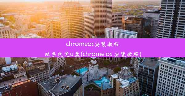 chromeos安装教程双系统免u盘(chrome os 安装教程)