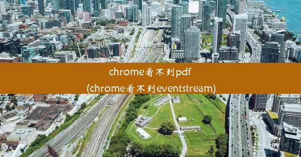 chrome看不到pdf(chrome看不到eventstream)