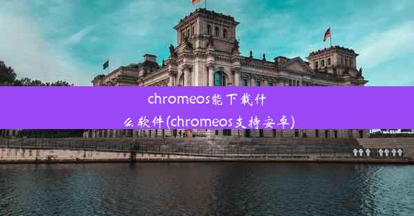 chromeos能下载什么软件(chromeos支持安卓)