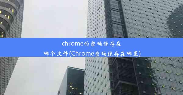 chrome的密码保存在哪个文件(Chrome密码保存在哪里)