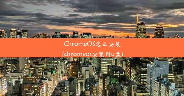 ChromeOS怎么安装(chromeos安装到u盘)