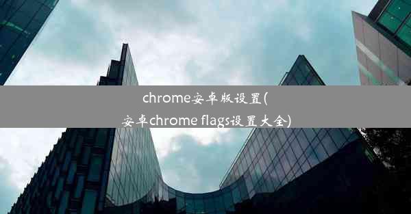 chrome安卓版设置(安卓chrome flags设置大全)