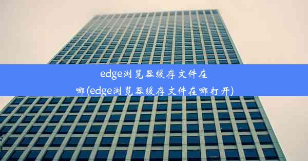 edge浏览器缓存文件在哪(edge浏览器缓存文件在哪打开)