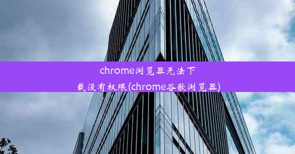 chrome浏览器无法下载没有权限(chrome谷歌浏览器)