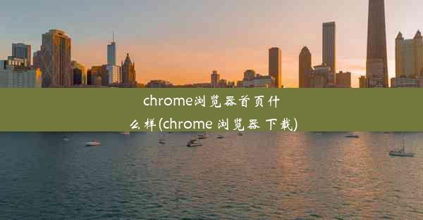 chrome浏览器首页什么样(chrome 浏览器 下载)