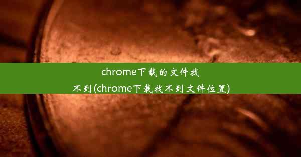 chrome下载的文件找不到(chrome下载找不到文件位置)