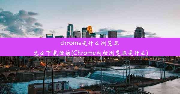 chrome是什么浏览器怎么下载微信(Chrome内核浏览器是什么)