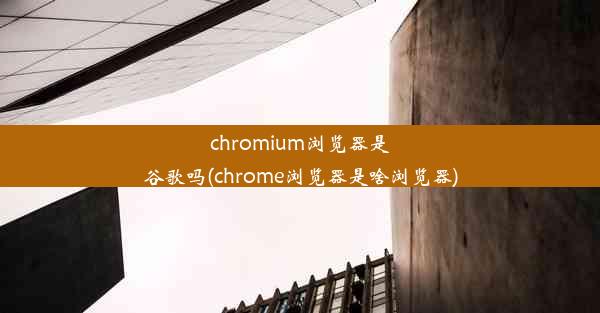 chromium浏览器是谷歌吗(chrome浏览器是啥浏览器)