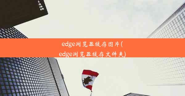 edge浏览器缓存图片(edge浏览器缓存文件夹)