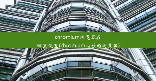 chromium浏览器在哪里设置(chromium内核的浏览器)