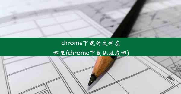 chrome下载的文件在哪里(chrome下载地址在哪)