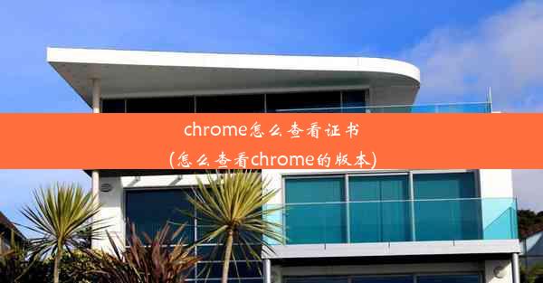 chrome怎么查看证书(怎么查看chrome的版本)