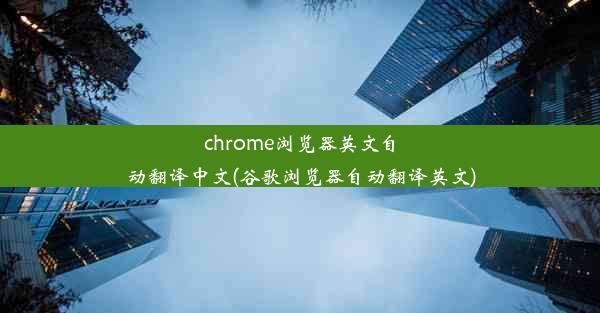 chrome浏览器英文自动翻译中文(谷歌浏览器自动翻译英文)