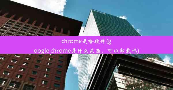 chrome是啥软件(google chrome是什么东西，可以卸载吗)