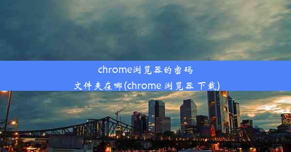 chrome浏览器的密码文件夹在哪(chrome 浏览器 下载)