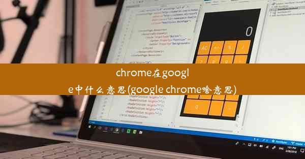 chrome在google中什么意思(google chrome啥意思)