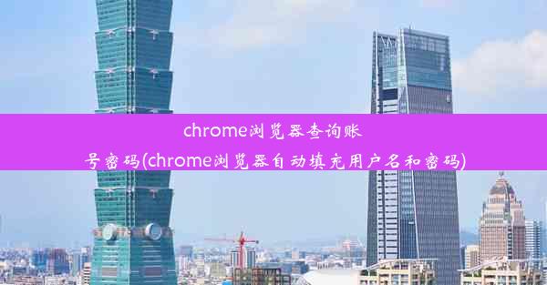 chrome浏览器查询账号密码(chrome浏览器自动填充用户名和密码)