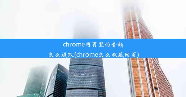 chrome网页里的音频怎么提取(chrome怎么收藏网页)