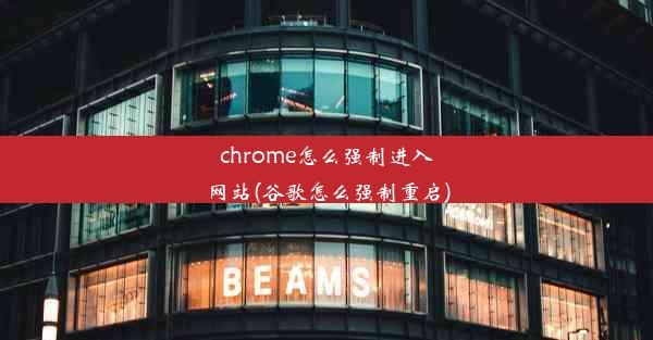 chrome怎么强制进入网站(谷歌怎么强制重启)