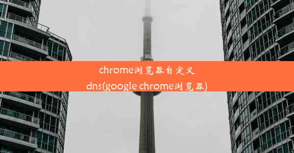 chrome浏览器自定义dns(google chrome浏览器)