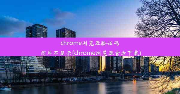 chrome浏览器验证码图片不显示(chrome浏览器官方下载)