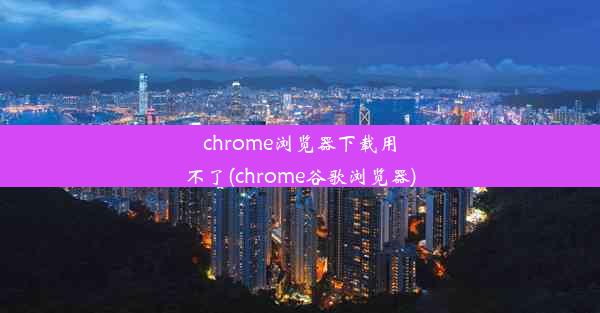 chrome浏览器下载用不了(chrome谷歌浏览器)