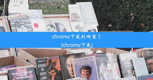 chrome下载到哪里了(chrome下载)