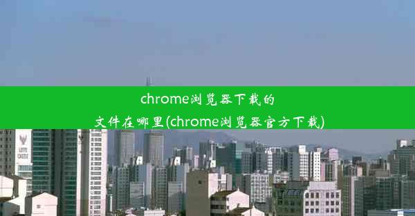 chrome浏览器下载的文件在哪里(chrome浏览器官方下载)