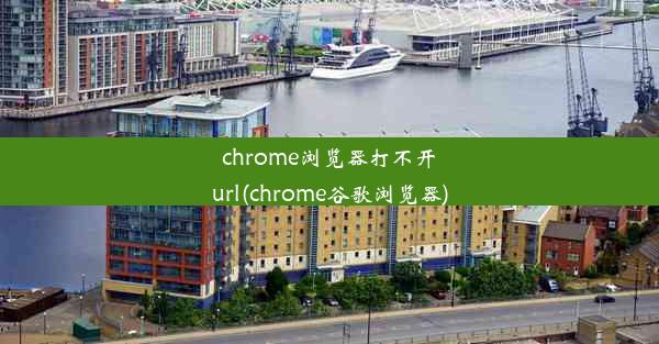 chrome浏览器打不开url(chrome谷歌浏览器)