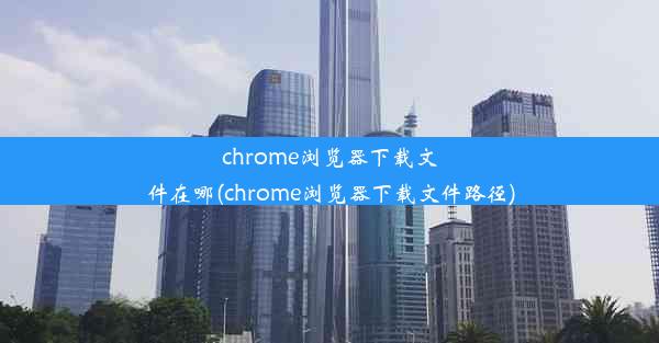 chrome浏览器下载文件在哪(chrome浏览器下载文件路径)