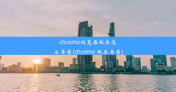 chrome浏览器版本怎么查看(chrome 版本查看)