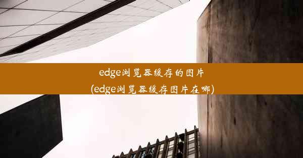 edge浏览器缓存的图片(edge浏览器缓存图片在哪)