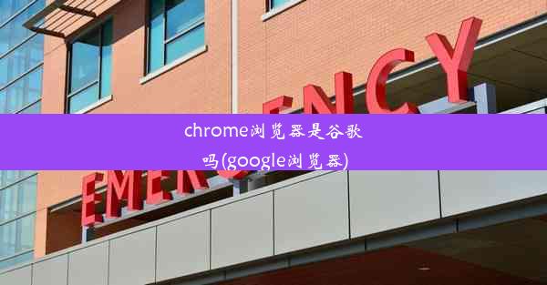 chrome浏览器是谷歌吗(google浏览器)