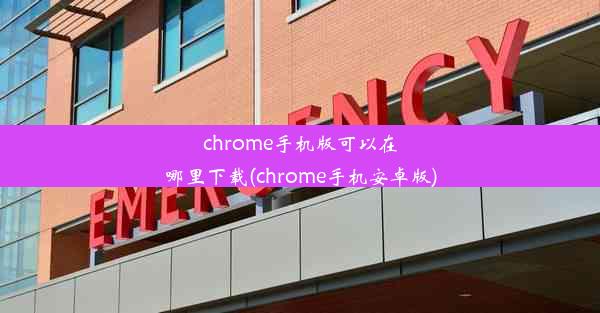 chrome手机版可以在哪里下载(chrome手机安卓版)