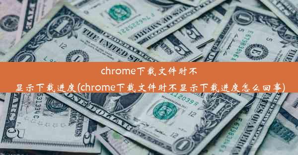 chrome下载文件时不显示下载进度(chrome下载文件时不显示下载进度怎么回事)