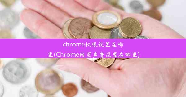 chrome权限设置在哪里(Chrome网页声音设置在哪里)