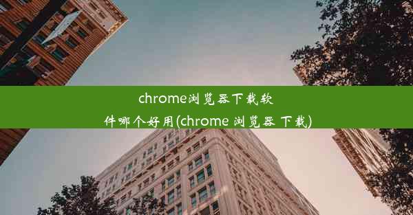 chrome浏览器下载软件哪个好用(chrome 浏览器 下载)