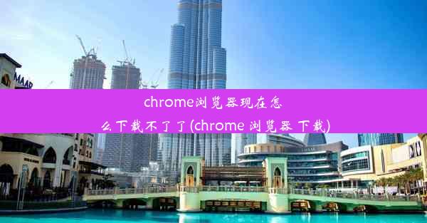 chrome浏览器现在怎么下载不了了(chrome 浏览器 下载)