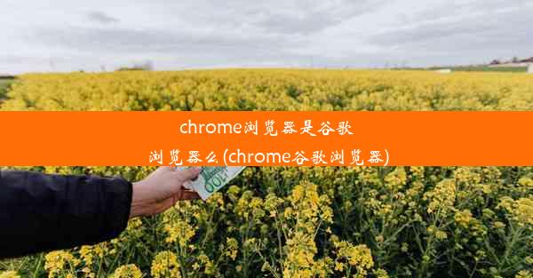 chrome浏览器是谷歌浏览器么(chrome谷歌浏览器)