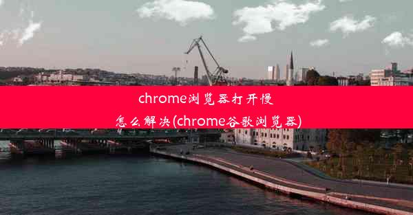 chrome浏览器打开慢怎么解决(chrome谷歌浏览器)