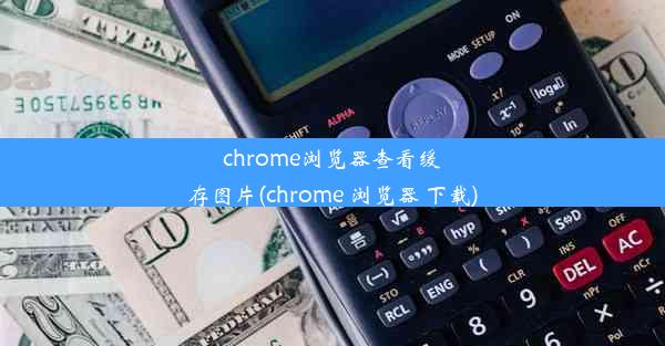 chrome浏览器查看缓存图片(chrome 浏览器 下载)