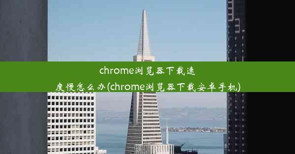 chrome浏览器下载速度慢怎么办(chrome浏览器下载安卓手机)