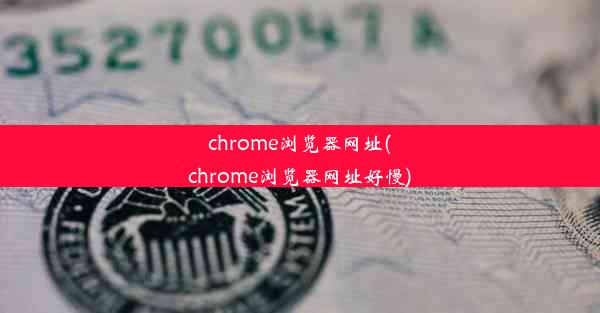 chrome浏览器网址(chrome浏览器网址好慢)