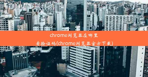 chrome浏览器在哪里看验证码(chrome浏览器官方下载)